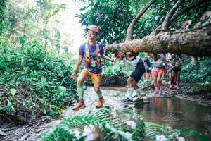 BIB: 
                            <button type="button" onclick="openModal(25444572)" class="btn btn-primary btn-sm float-right btn-popup" data-toggle="modal" data-target=".modal-high-quality">
                        <i class="fas fa-shopping-cart"></i> Add to Cart
                    </button>
                                            <button type="button" onclick="isThisMe(25444572, true)" class="btn btn-success btn-sm float-right btn-popup btn-isme hidden" data-toggle="tooltip" data-placement="bottom" title="นี่คือรูปของคุณใช่ไหม คลิกที่นี่เพื่อเอาเข้าอัลบั้ม">
                        <i class="fas fa-plus"></i> Add to album
                    </button>
                    <button type="button" onclick="isThisMe(25444572, false)" class="btn btn-warning btn-sm float-right btn-popup btn-isnotme hidden">
                        <i class="fas fa-ban"></i> Remove from album
                    </button>